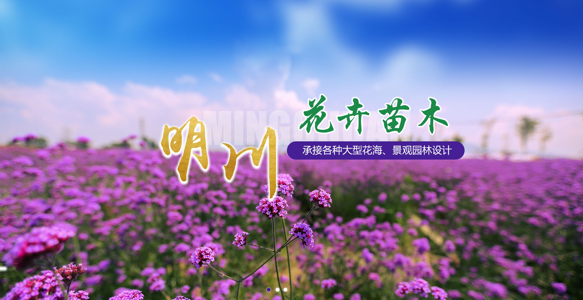 青州市明川花(huā)卉苗木(mù)有(yǒu)限公(gōng)司
