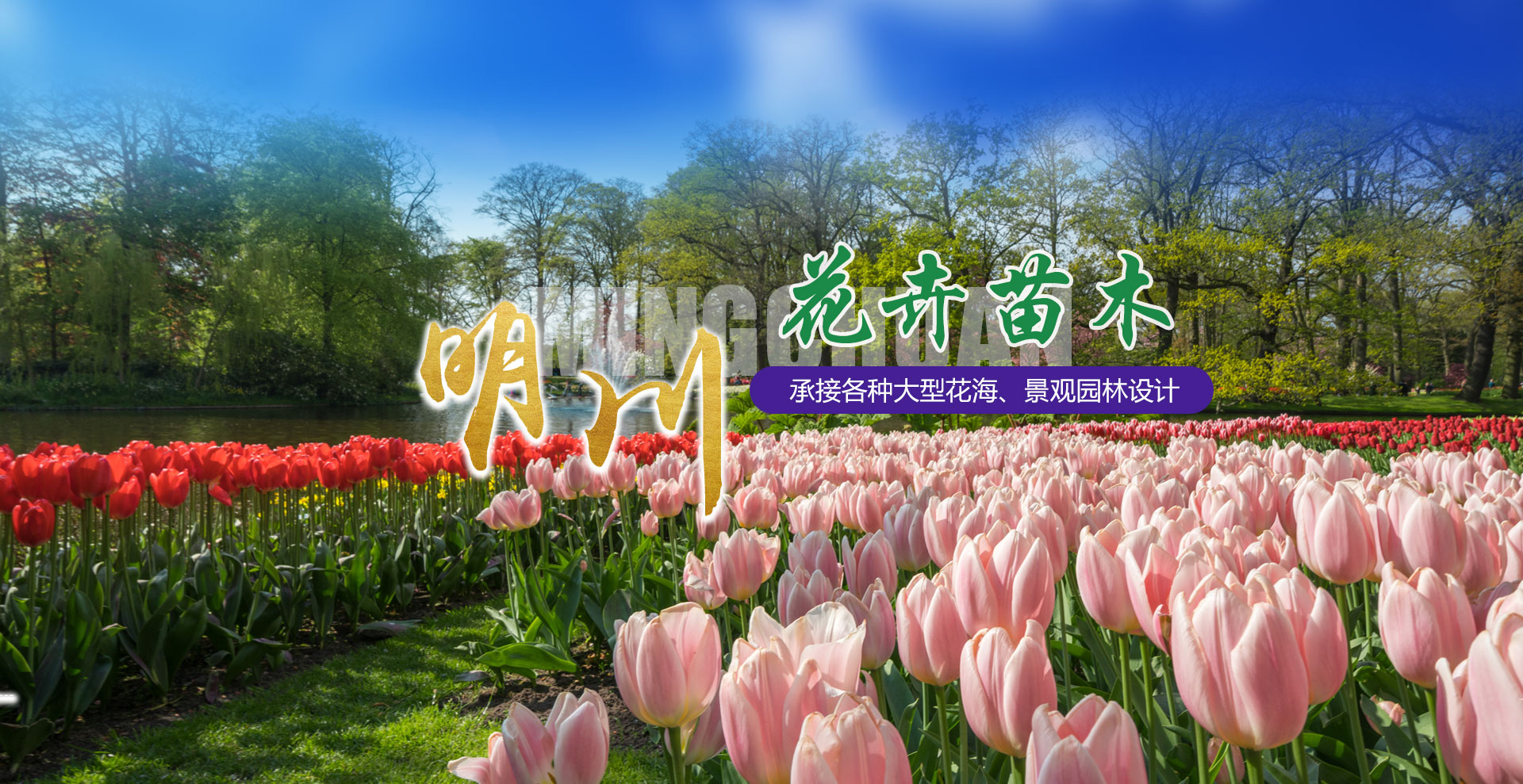 青州市明川花(huā)卉苗木(mù)有(yǒu)限公(gōng)司