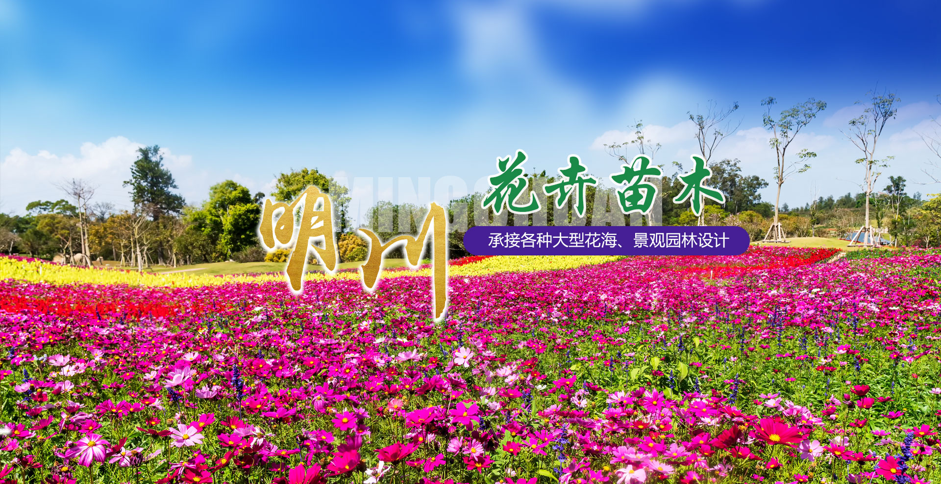 青州市明川花(huā)卉苗木(mù)有(yǒu)限公(gōng)司